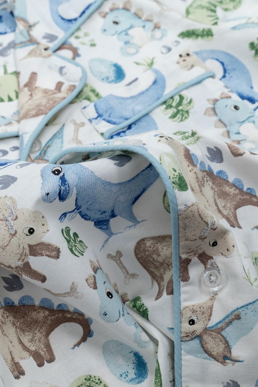 Roar Roar Dinosaur-Blue