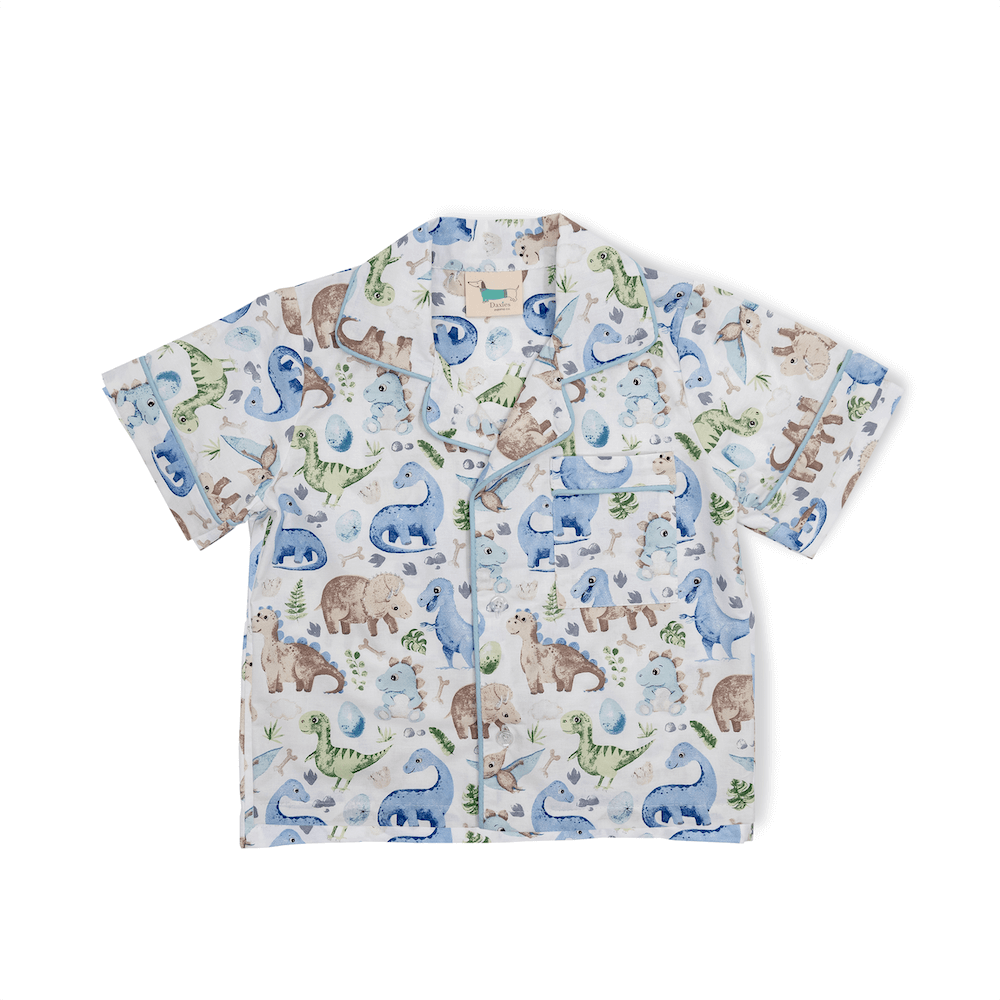 Roar Roar Dinosaur-Blue