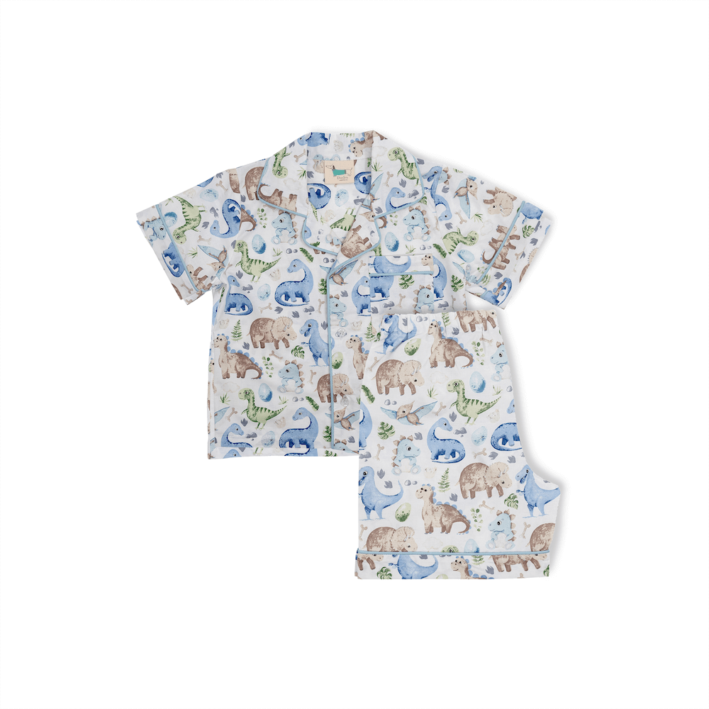 Roar Roar Dinosaur-Blue