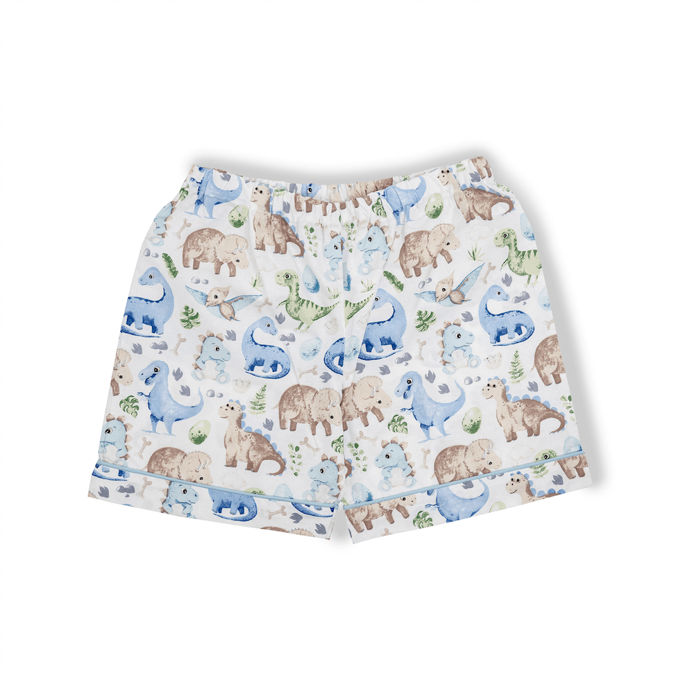 Roar Roar Dinosaur-Blue